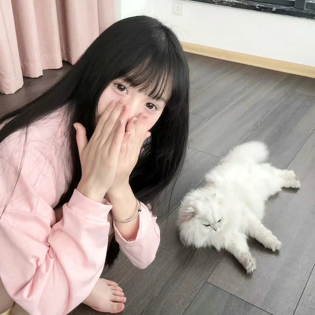 真爱满屋2：真假金龟婿
